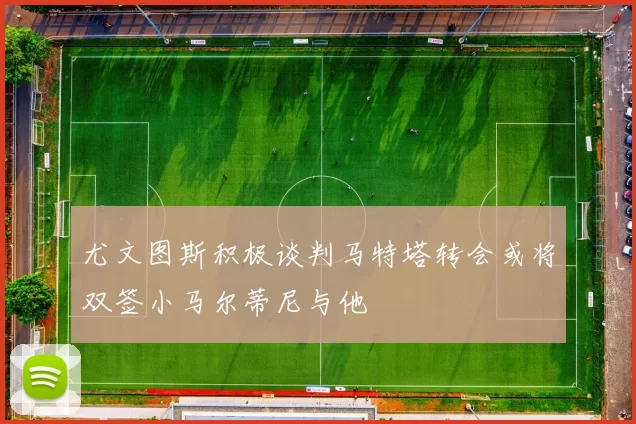 尤文图斯积极谈判马特塔转会或将双签小马尔蒂尼与他